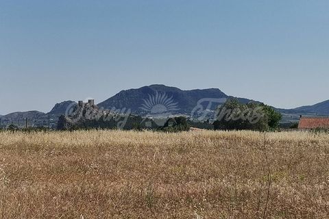 Helårsgrund i Sax, Alicante, Sax - € 59.000 | Ref: SF0315 - foto 4